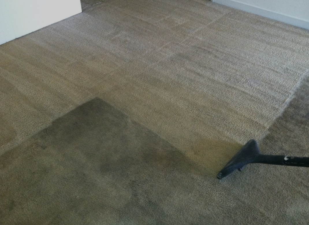 Servizio pulizia Perla Nera